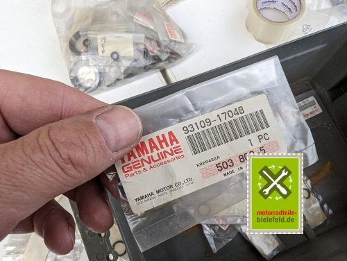 PXL_20240528_175359052